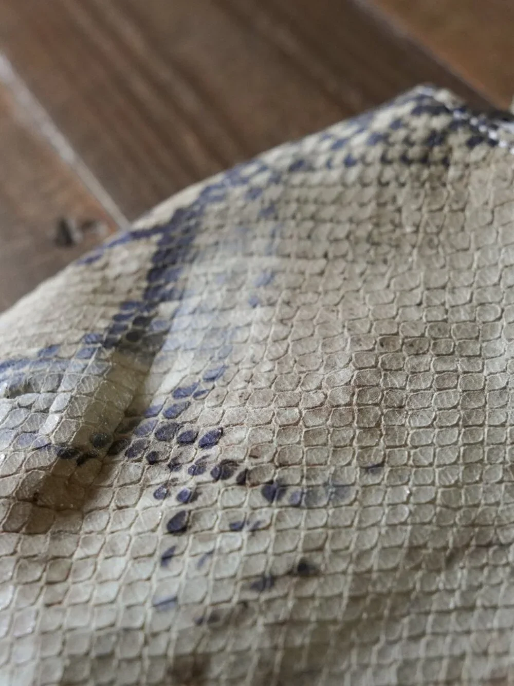 Coach Python Print Leather Wristlet Pouch